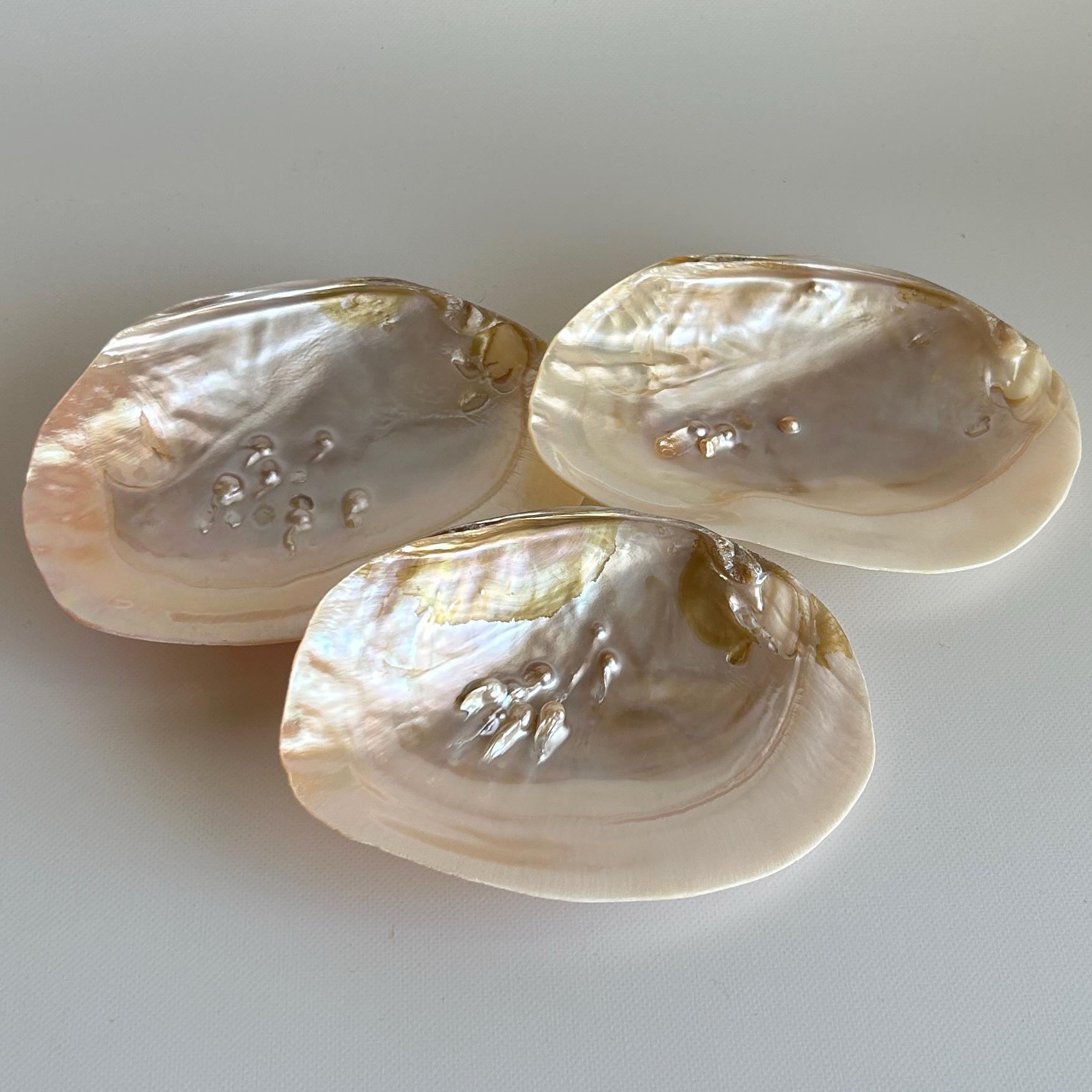 天然パールシェルプレート 淡水パール付き 1枚 〈浄化用／アクセサリートレイ〉13