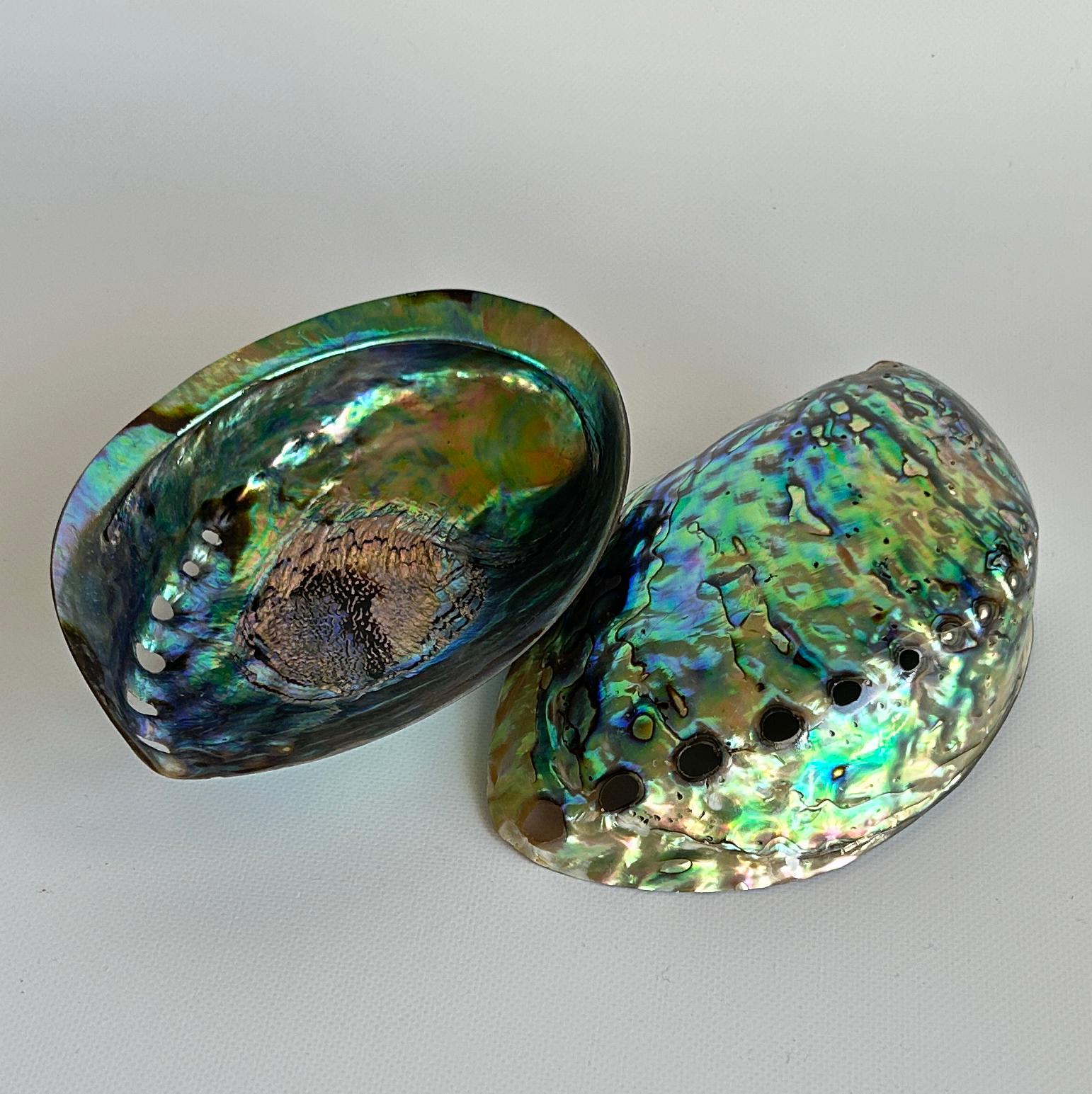 アバロンシェル 浄化皿 ナチュラルインテリア 1枚1枚目の画像